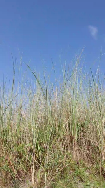 geilerjung69  14-08-2021 Recorded Video XXX